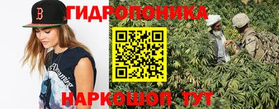 молекула духа Владимир